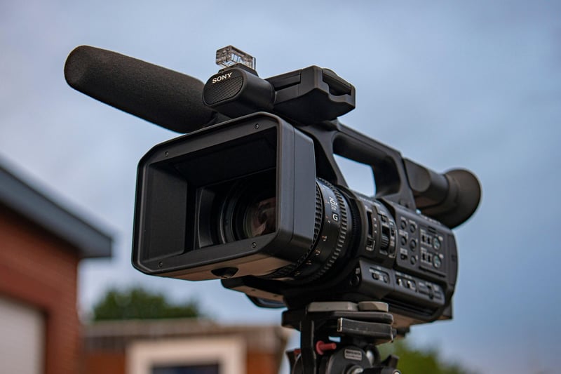 Nature-inspired Videography